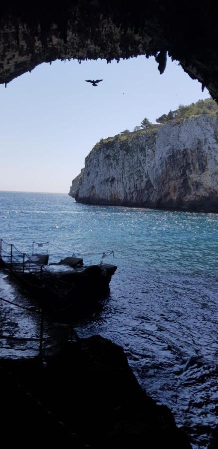 Affittasi Casa Vacanza A Casa Di Emma Leverano Εξωτερικό φωτογραφία