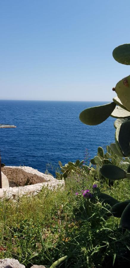 Affittasi Casa Vacanza A Casa Di Emma Leverano Εξωτερικό φωτογραφία